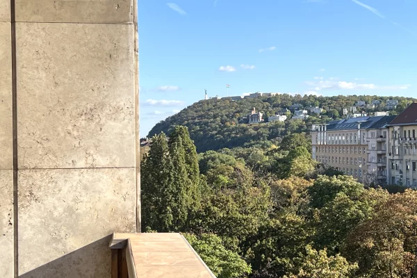 Panoramic Apartment for Sale on Pauler Street